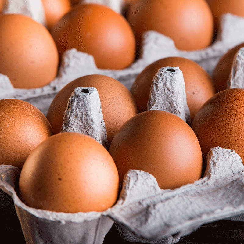 local-farm-eggs eggs from local farm